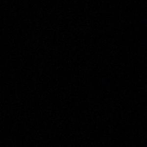 Meet your Posher, Alexus